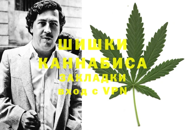 PSILOCYBIN Магадан