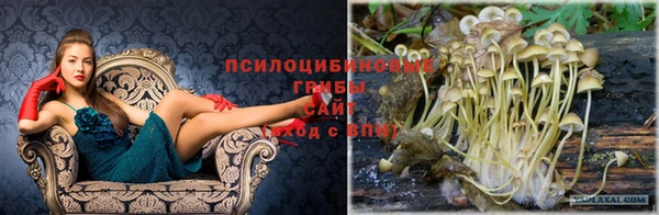 спайс Майский