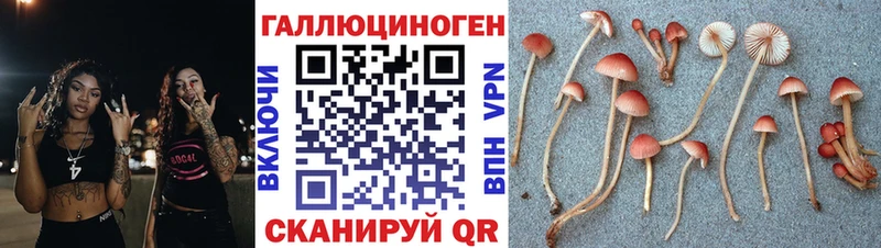 Псилоцибиновые грибы Magic Shrooms  где продают наркотики  кракен ССЫЛКА  Сясьстрой 