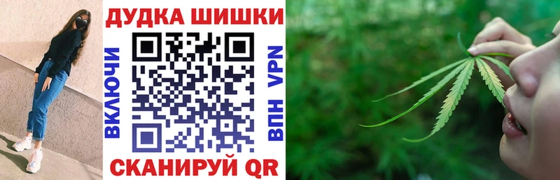 Бошки марихуана OG Kush  купить  сайты  Сясьстрой 