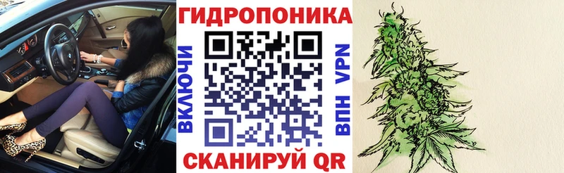 продажа наркотиков  Сясьстрой  Шишки марихуана планчик 